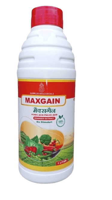 Maxgain